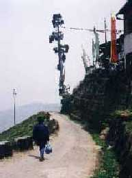 Buddhist prayer flags and gardens of tea. Walking through Darjeeling, North Bengal, India