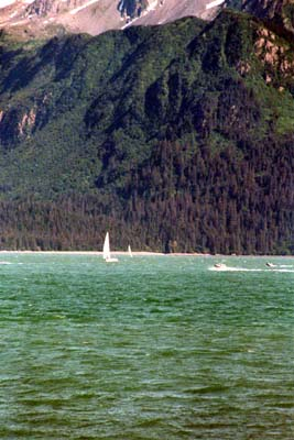 Boats skimming over the bay