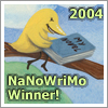 nano'04 winner