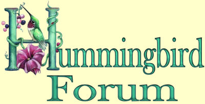 The official sig header sig of the Hummingbird forum