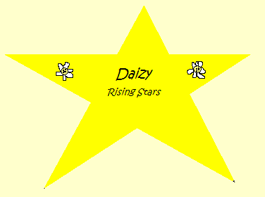 Big Yellow Star Daizy