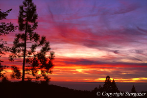 Sunset at Sequoia National Park. Click to go to Stargazer's Photography.