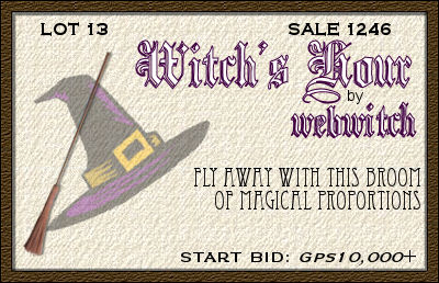 The broomstick of the good, WW, purchased from the WDC Celebrity Auction! 2008