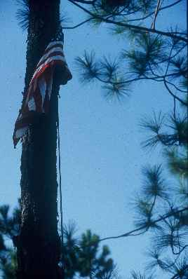 A pine tree flagpole