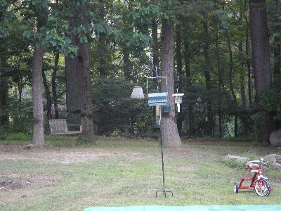 Bird feeders