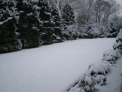 First Snow of 2008