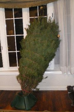 A Pitiful Looking Christmas Tree
