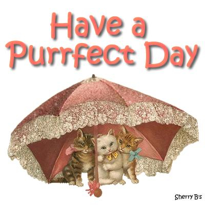 Have a Purrfect Day Image