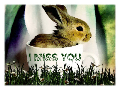 A image for my 'I Miss You' C-Note...