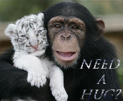 Need a Hug cNote