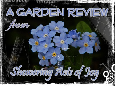 Beautiful blue flowers by Brooke for Garden Review Image