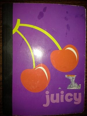 Juicy Book - Cute little composition notebook I picked up; easy to carry around in purse.