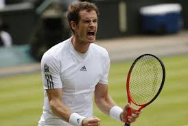 Andy Murray wins Wimblebon 2013 - for blog post