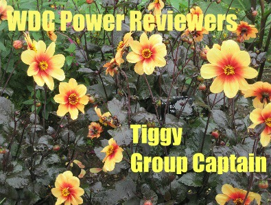 Click to go to the WDC Power Reviewers