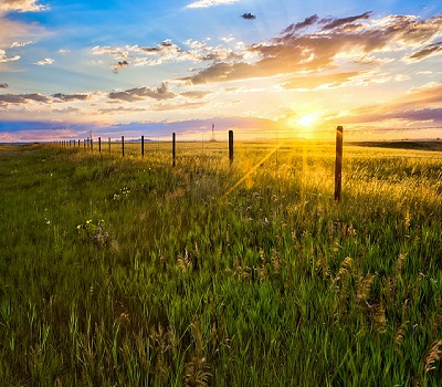 Sunlight on the prairie.