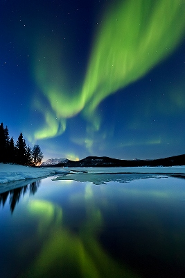 Northern lights 