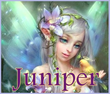 Mandy assigned me this muse, Juniper. I feel she's very much a part of me already.