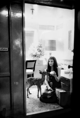 A gift from a member. Audrey Hepburn and her pet deer.