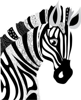 They say when diagnosing a patient to think of horses, not zebras-- but they're wrong.