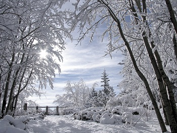 winter romance pic.