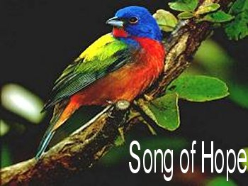 song of hope header