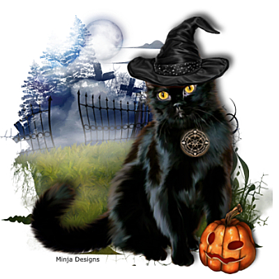 Halloween Cat