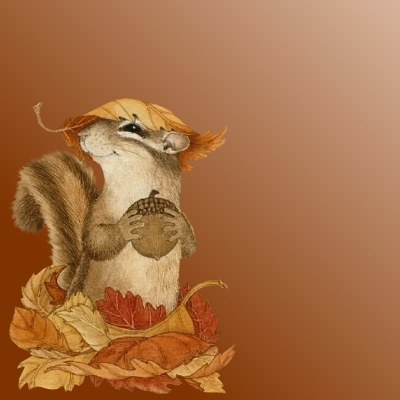 Squirrel ~Fall~