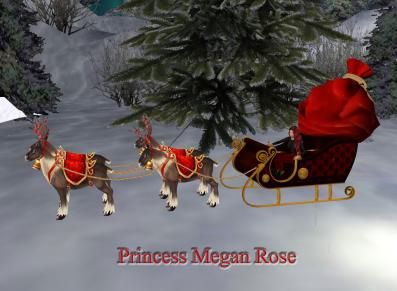 Megan in sleigh Sig with reindeer.