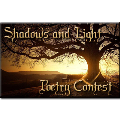 Image for banner & cover in Shadows & Light.