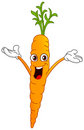 Fred the carrot