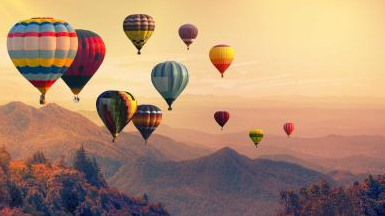 Hot air balloons in the morning light.