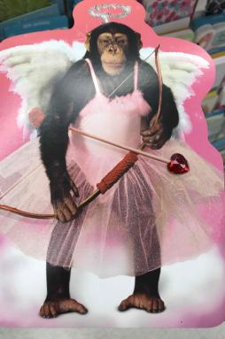 Chimp Dressed as Cupid