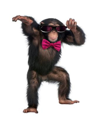 Mirror image of bowtie chimp