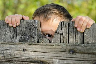 Child peeking over fence.