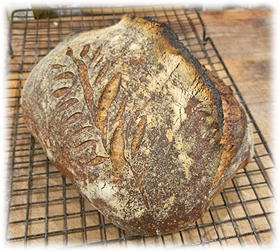 Sourdough Bread