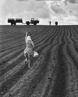 A figure waves at a farmer silhouetted on the horizon.