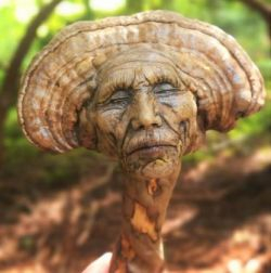 A fungus resembling a face.