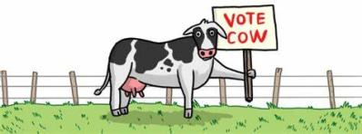 Who let the cow into the voting booth?