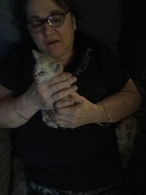 My mother and her pet cat 