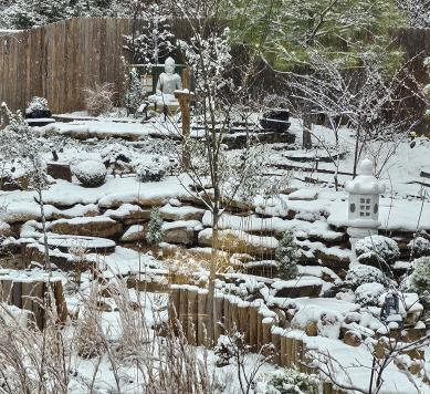 Snowy Backyard