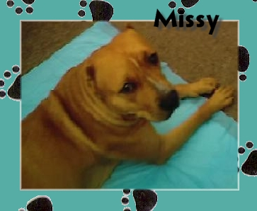 This is a different frame and same shot of Missy.