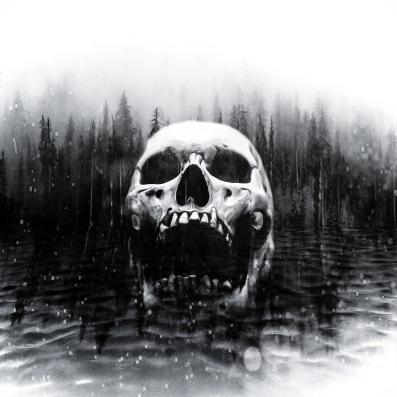 Skull and swamp