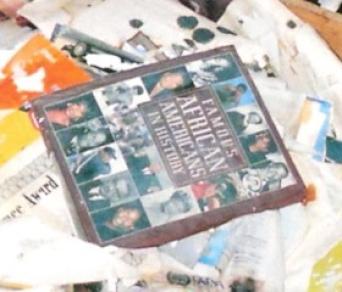 Ruin & More Ruin ~ Plenty of cherished books, documents, and photographs lay ruined after soaking in flood water. All but one of the writing reference books I'd bought over the past eight years were destroyed. The sole surviving book:  The Art of Compelling Fiction: How to Write a Page Turner  by Christopher T. Leland.