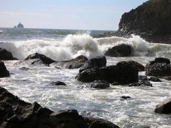 Oregan Shore ~  Walks along the beach were different on the West Coast. The beaches were rocky rather than sandy like the ones I am used to seeing. There was sand, but it was more like a path through the rocks than the actual beachfront in this area.  