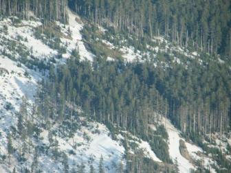 On the slope of Mt Hood ~  April '07 