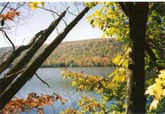 Sun through the leaves -- Canadice Lake ~ A really nice day in the fall.