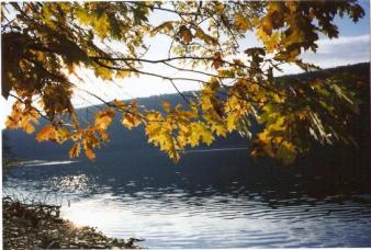 Canadice Lake -- Nov.2007 ~ A sunny afternoon.