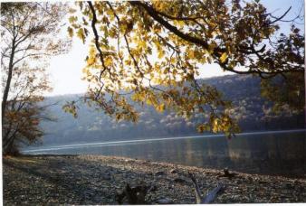 Canadice Lake -- Nov.2007 ~ Beneath the oak and maple leaves.