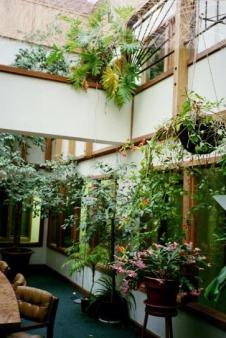 2nd floor atrium on North Higgins Street. ~  Winter isn't always dark and dingy in Missoula, MT! This is right outside the GBLT Center. Always open to everyone. 