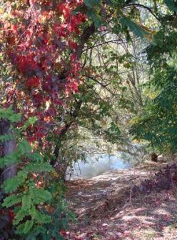 Fall Colors ~  No description included. 